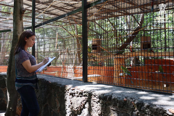 Vigilia permanente del bienestar de animales en Zoo de Morelia