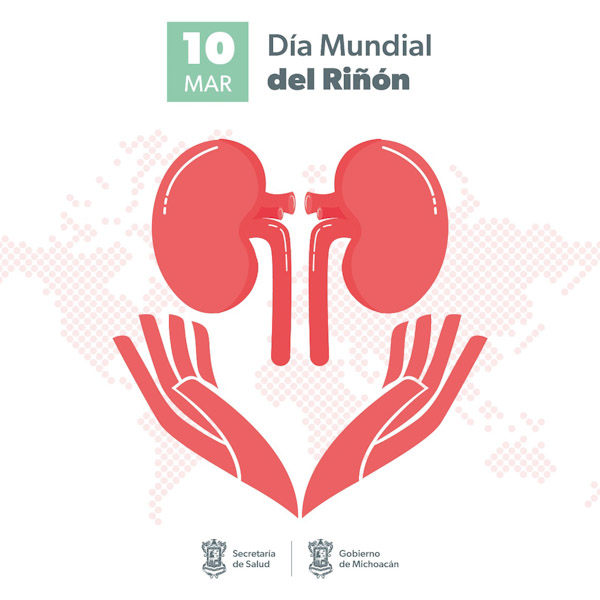 1 de cada 10 adultos padecen enfermedad renal crónica
