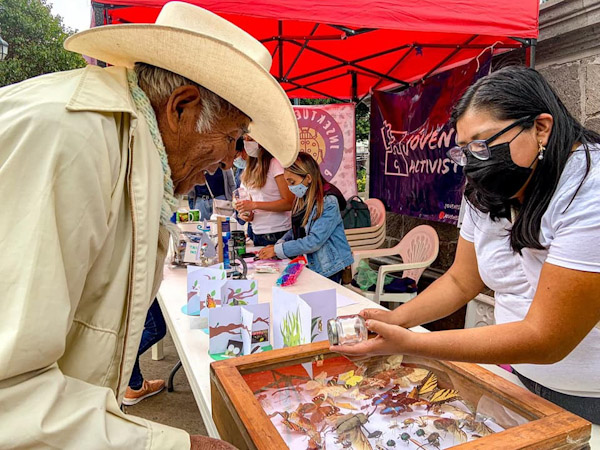 Imparten educación sobre insectos en Zoo de Morelia