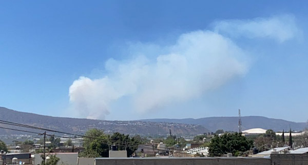 Reportan incendio forestal en bosque La Primavera