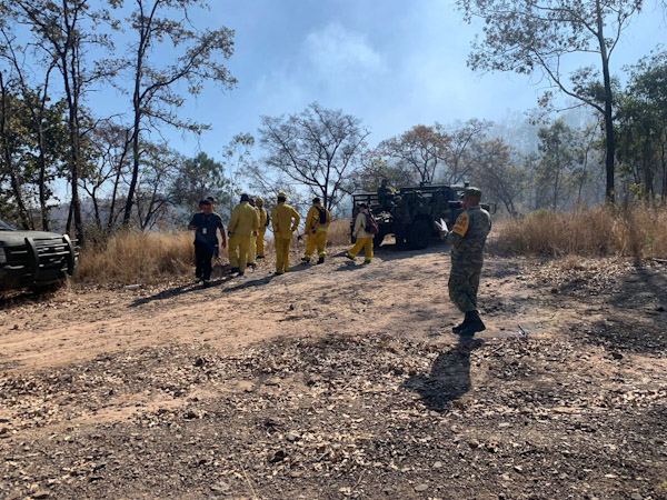 Atacan incendios forestales en sierra michoacana