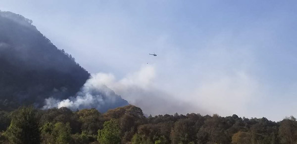 COFOM reconoce labor de combatientes del fuego forestales