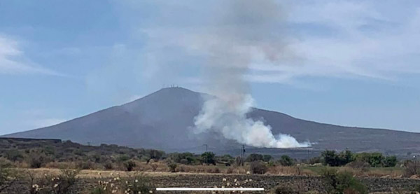 Reportan incendio en inmediaciones de Cerro Grande.