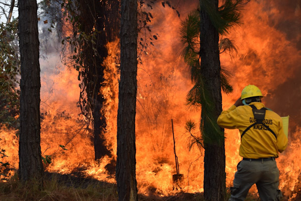 Logran controlar incendio forestal en Uruapan