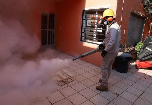 Michoacán registra 32 casos de dengue