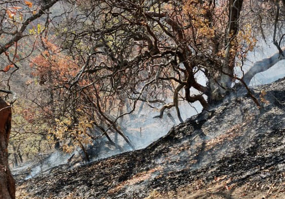 Atienden CONAFOR incendio en cerro de Zinaparo