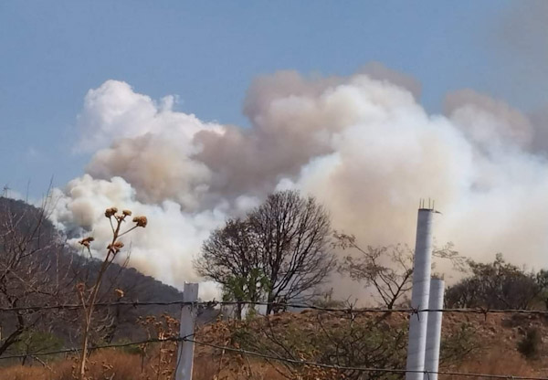 Se aviva incendio en Cerro de Zinaparo
