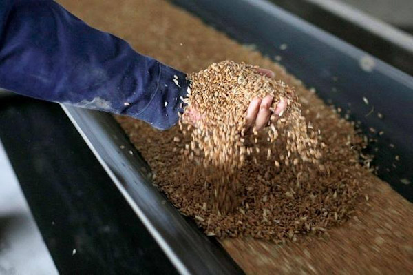 FAO distribuye patatas a familias rurales vulnerables en Ucrania