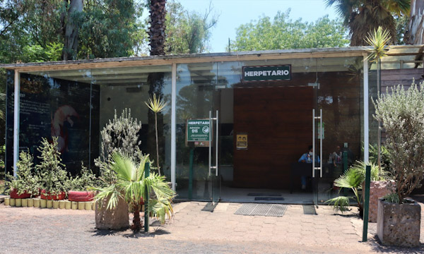 Visitas guiadas al Herpetario y Acuario de Zoo Moreliano