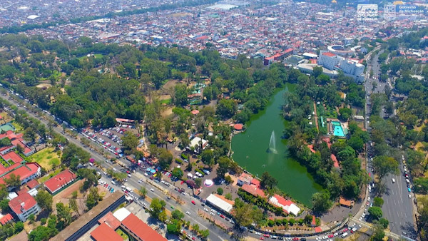 60% avance del censo forestal en ZooMorelia