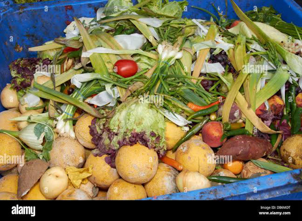 El mundo desperdicia millones de toneladas de comida