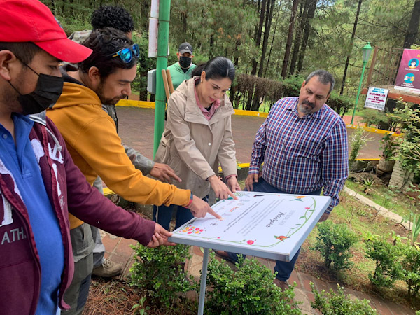Secma y Foturmich establecen jardín de polinizadores en Los Azufres