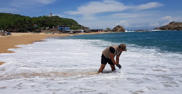 Arranca SSM muestreo a las 13 playas michoacanas.