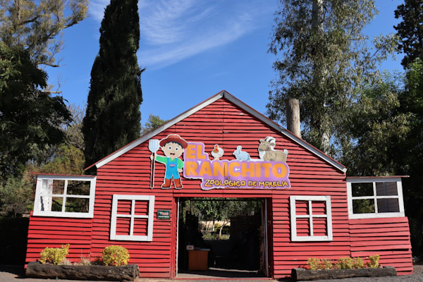 Invita ZooMorelia a visitar el parque en esta última semana de vacaciones