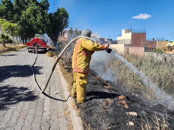 Siguen incendios en pastizales