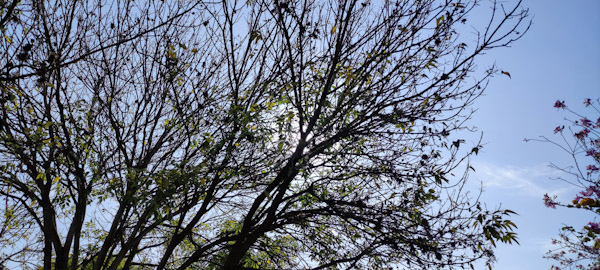 Este miércoles es el solsticio de invierno