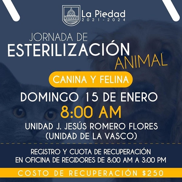 Habrá campaña de esterilización animal en La Piedad.