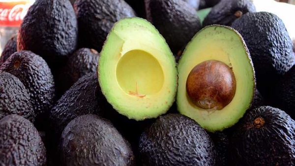 Exportan aguacate michoacano para el Super Bowl.