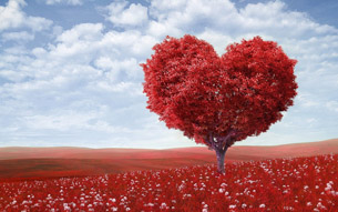 Hoy es día del amor y amistad