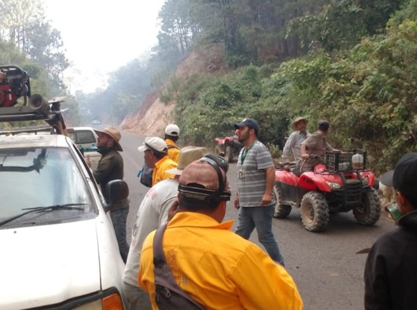 Envían helicóptero para atender incendio forestal en Cotija