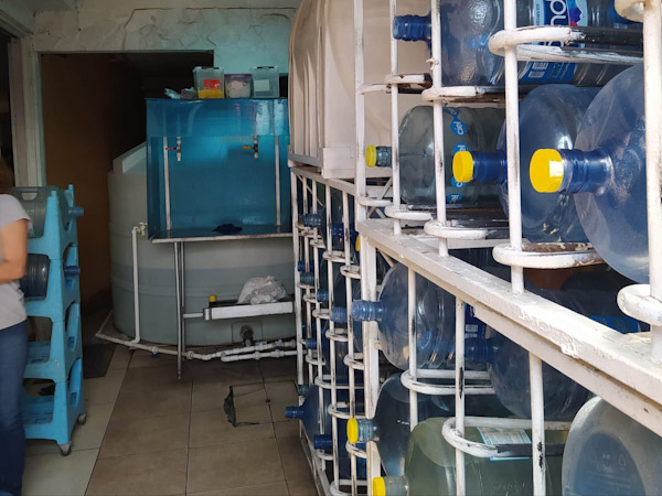 Intensifican vigilancia sanitaria en purificadoras de agua y fábricas de hielo.