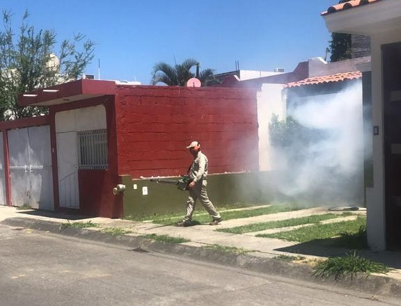 Realiza vectores labores de fumigación en La Piedad