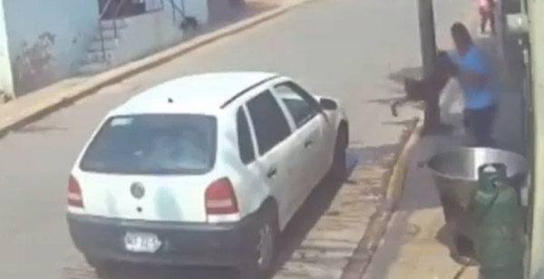 Detiene a sujeto que arrojó a perro a caso con acite hirviendo