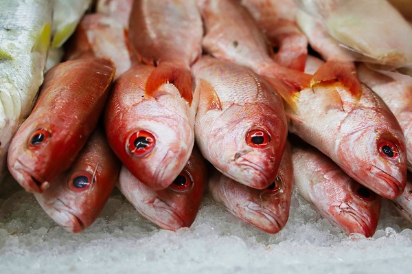 Manejo adecuado de alimentos previene enfermedades diarreicas