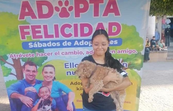 Habrá jornada de adopción de mascotas este sábado