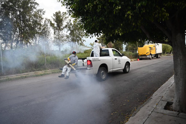 Arrancan labores de fumigación contra mosco