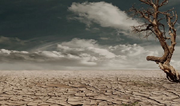 Michoacán inicia proceso para actualizar Ley de Cambio Climático