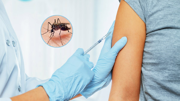 ¿cuáles los síntomas del dengue y cómo se transmite?