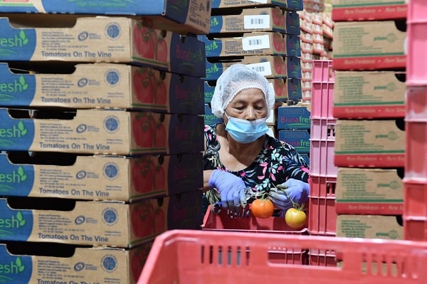 Empresas cumplen con acreditación laboral; van 2 mil 500 registros: Sedeco