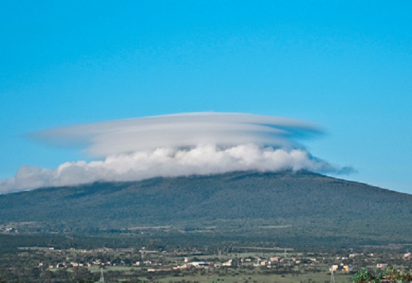 Proteger 133 áreas naturales preservará 14 mil especies de flora y fauna