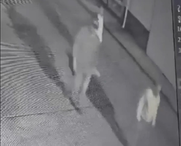 Acusan a presidente de Tangancícuaro de matar a dos perros