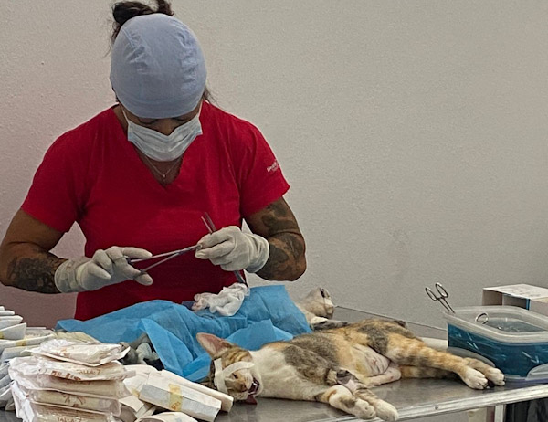 Realiza Jurisdicción Sanitaria 6 jornada de esterilización