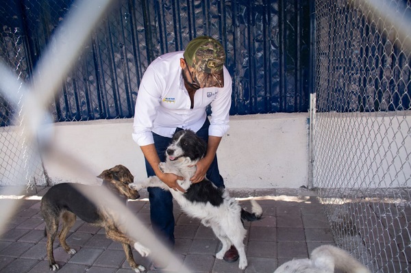 En La Piedad el segundo espacio de Atención canina en Michoacán