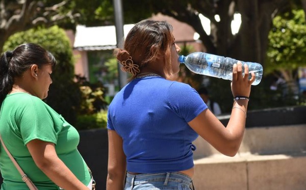 Cómo tratar un golpe de calor; adopta estas medidas de la SSM
