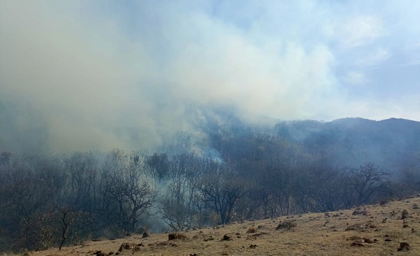 Logran sofocar incendio en la Sierra de Pénjamo.