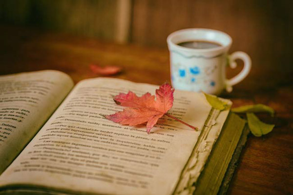 Hoy se festeja el día mundial del libro