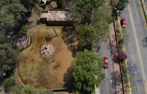 OOAPAS quiere deslindarse, pero derramaron lodos tóxicos: director de Zoo Morelia