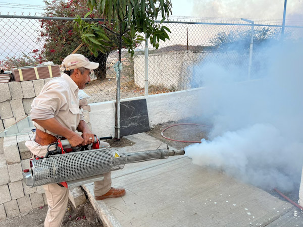 Implementan operativo contra dengue en panteón de La Piedad