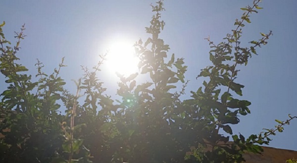 Te decimos a qué hora viene el pico de calor más alto