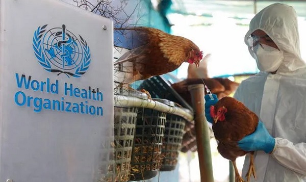En México primer muerte por gripe aviar AH5N2 en humanos.