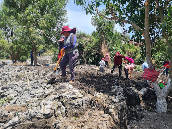 Apremiante compartir buenas prácticas contra desertificación y sequía