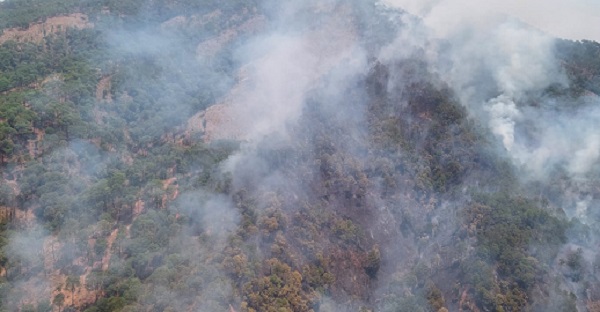 Solicitan a Sedena aplicar Plan DN-III-E para apagar incendio forestal en Uruapan