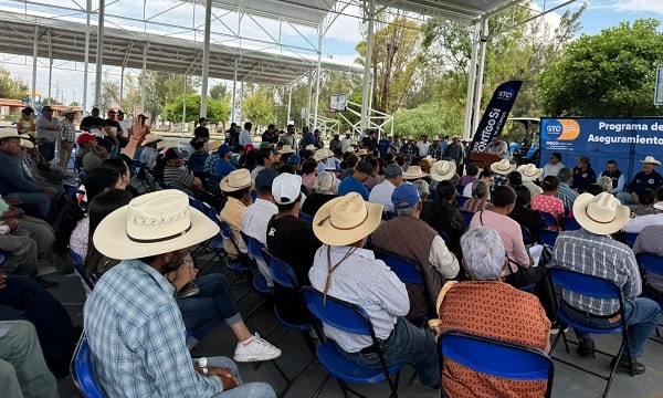 Entrega en Pénjamo, Seguros Catastróficos a productores, fructosa, apícolas y maquinaria agrícola.