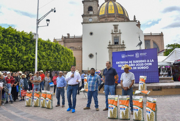 Entregan semilla de sorgo a productores piedadenses.