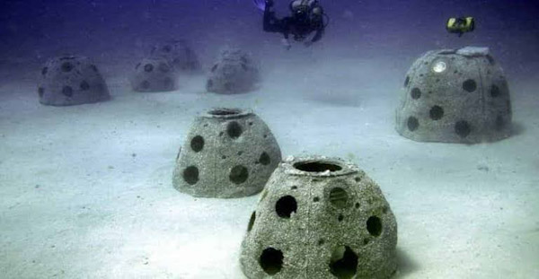 Hundirán mil 100 arrecifes artificiales en la Costa Michoacana