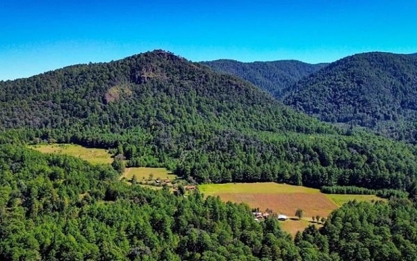 Interesa a Semarnat el Guardián Forestal para localizar recursos hídricos